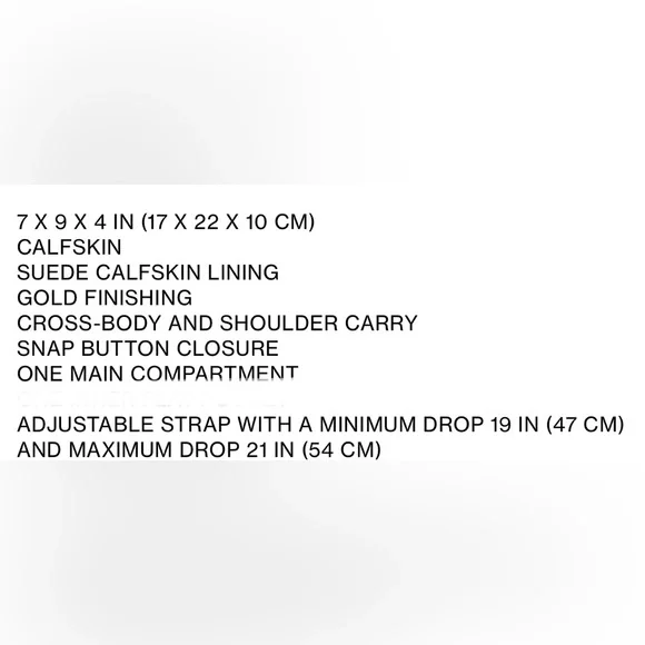 Celine Small Bucket Cuir Triomphe Bag - Picture 14 of 14